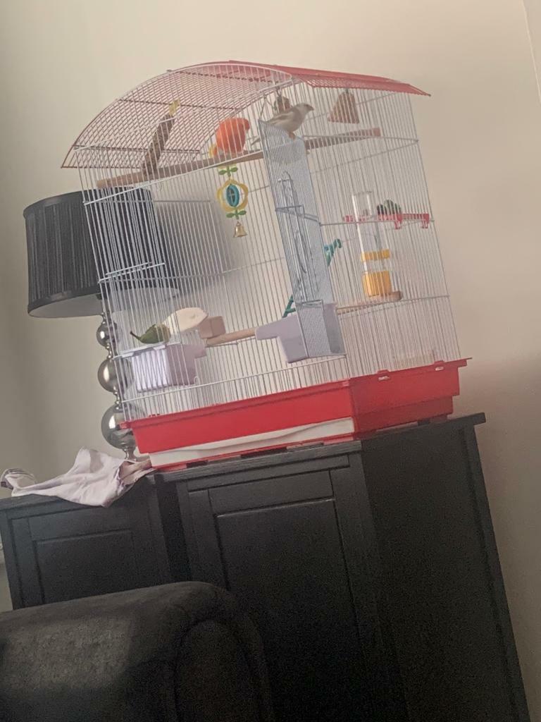 finch cage accessories